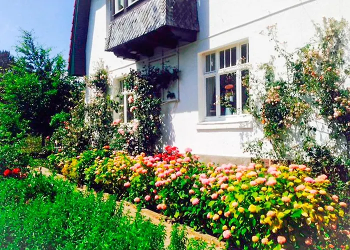 Romantische Sachsenhof 2